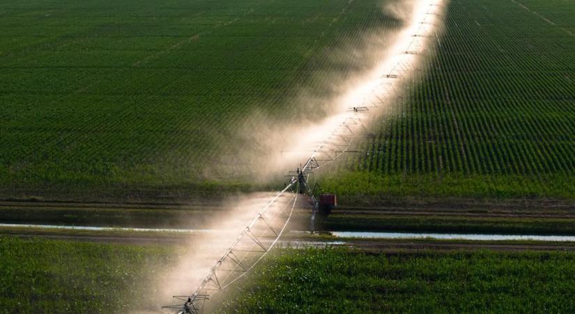 Másodpercenként 500 liter: nem maradnak víz nélkül a dél-alföldi gazdák