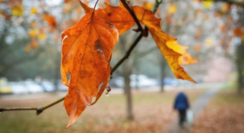 Trükkös időjárás jön hétfőn Hevesben: ezt jó, ha tudod, mielőtt elindulsz otthonról!