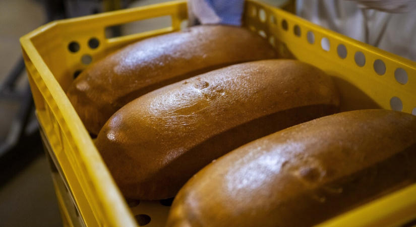 Ismét drágul a hazai kenyér, közben egyre többet hoznak be külföldről