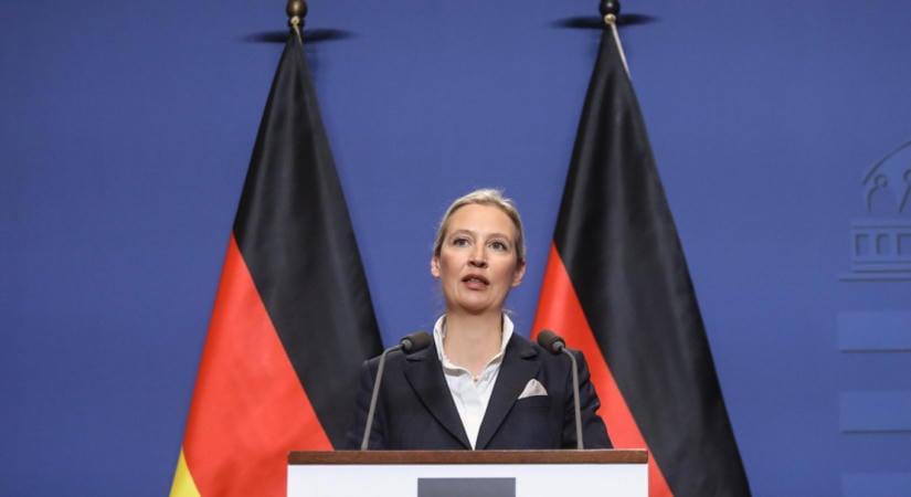 Feltörték az AfD emailjeit és kiderült belőlük, hogy Alice Weidel hazudhatott