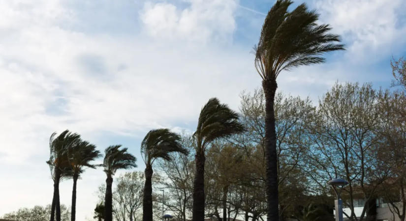 Rendkívüli állapot Hawaii szigetén: történelmi erejű hurrikán közeleg