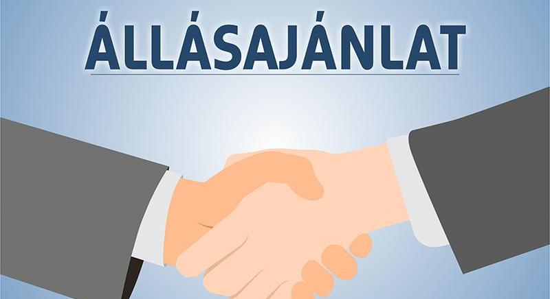 A Fejlesztési és Koordinációs Központ Nonprofit Kft. pályázatot hirdet ügyvezetői tisztség betöltésére