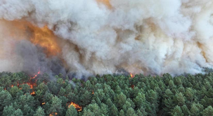 Tűz van a Párizshoz közeli fontainebleau-i erdőben, több lakóházat ki kellett üríteni