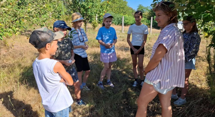 Természet, képzelet és linómetszés: különleges kalandozás kezdődött Alsópáhokon