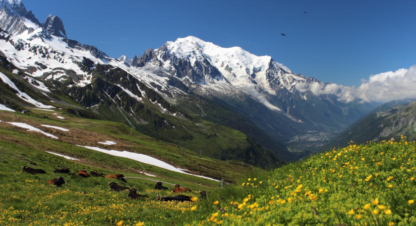Akkora a tömeg a Mont Blanc-nál, hogy foglalási rendszert vezetnének be a turisták megfékezésére