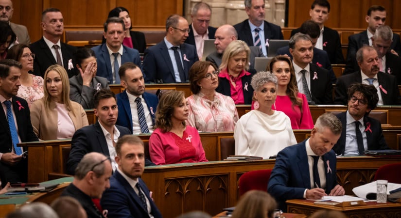 Magyar Péter a Gazdálkodj Okosan társasjátékot emlegetve szállt bele a Fidesz képviselőjébe - Az Országgyűlés ülése