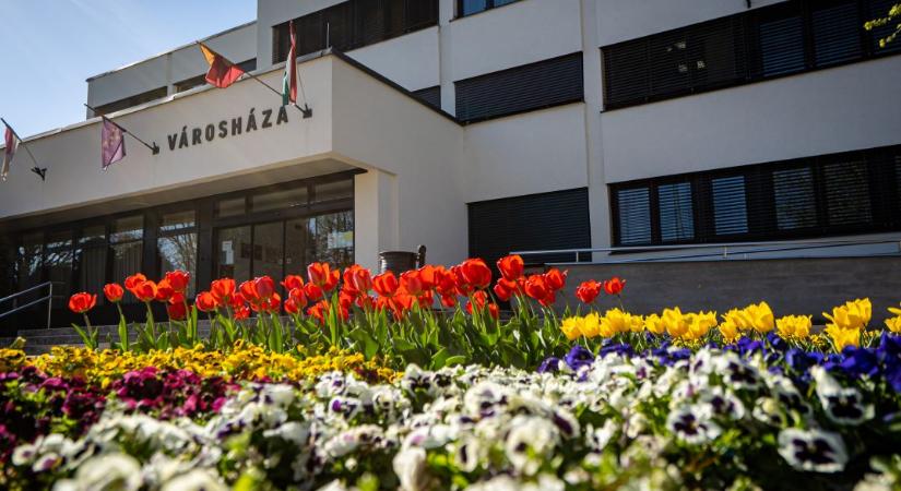 A szociális csoport tájékoztatója