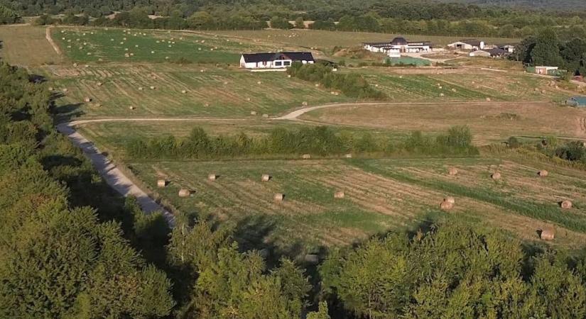 Aláírást gyűjtenek a Bakony lábánál lévő rossz út miatt ( képek)