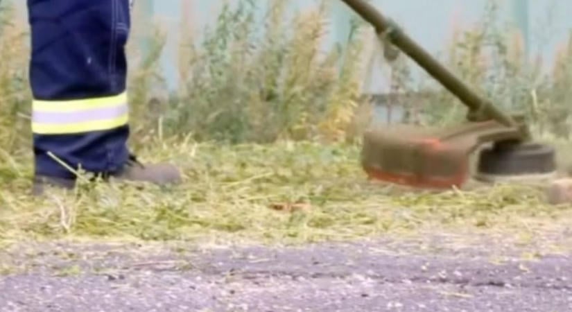 Figyelem biciklisek! Ezek a debreceni utak – elvileg – már királydinnye mentesek!