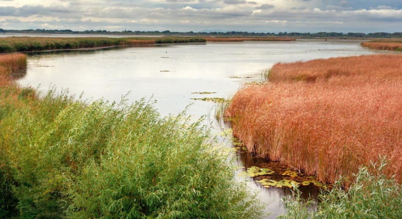 Sokkoló felvételek! Rá sem lehet ismerni a Tisza-tóra: brutális képek az aszály után