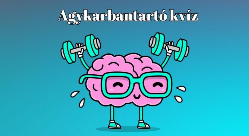Kvízkaland jött - Ha a válaszok kétharmada helyes, talán a zsenik klubjába tartozol