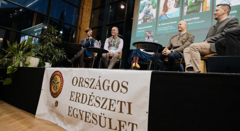Az erdők útjai a jövőbe – közös megoldásokat kerestek Sopronban
