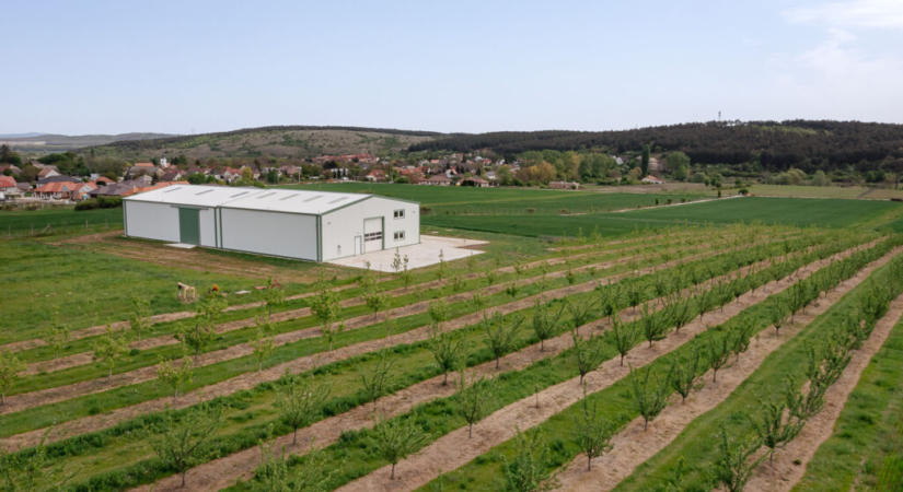 Felkészül az agrárium: kivárás helyett újra előtérben a tervezés