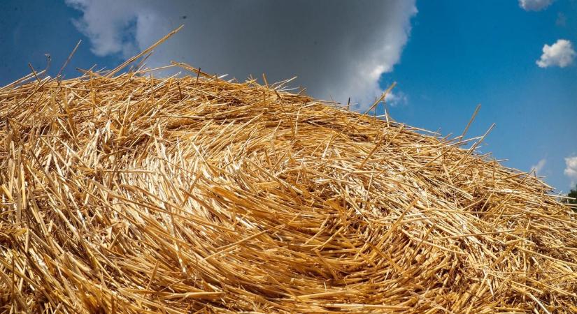 Türkizcsönd és színöröm, angyal a részletekben - Vasi utakon, sok fotóval