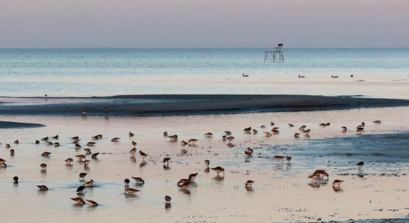 Ami eddig elképzelhetetlen volt: időszakossá váltak az állandónak hitt, Balaton környéki patakok