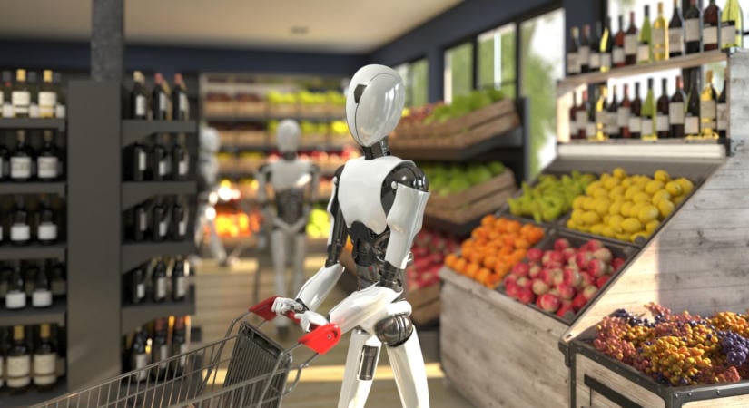 Pár év múlva már nem mi vásárolunk magunknak – rábízná a bevásárlást egy robotra?