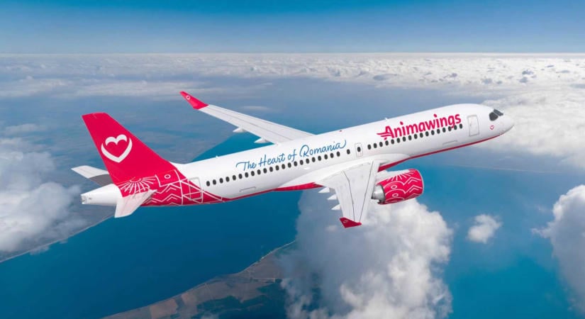 Fizetésképtelenné vált az Anima Wings