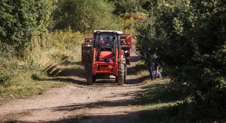 709 forintos gázolaj: súlyos tétel a földeken