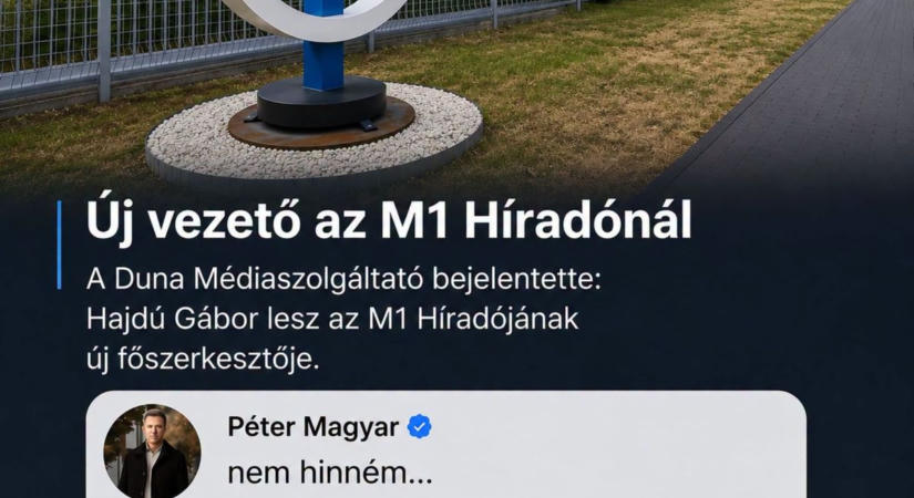 Egy demokratikus jogállam biztosan nem így működik