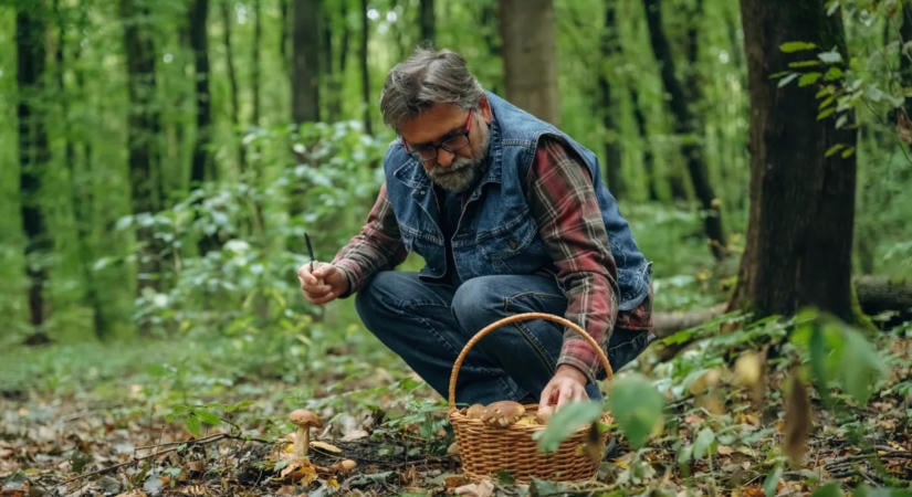 65 ezer forintos bírság lehet a vége: sokan nem is tudják, hogy ez ősszel tilos