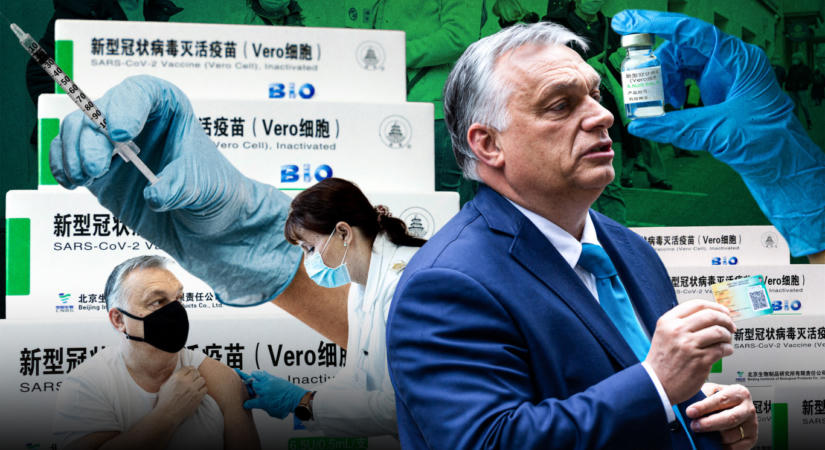 Sárkány ellen sárkányfű – amikor az Orbán-kormány olyan oltási programot hirdetett meg, amiben éppen időseken alig tesztelt hatékonyságú oltóanyaggal oltottak be félmillió idős embert
