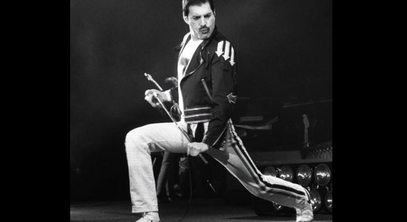 Nyolcvanéves lenne Freddie Mercury