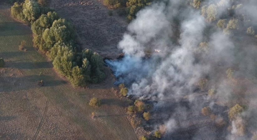 Újra felcsaptak éjszaka a lángok, óriási területen harcolt több szabolcsi egység is a tűzzel (fotókkal)