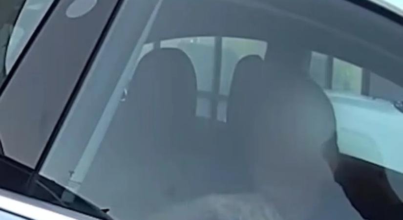 Videón, ahogyan a rendőrök mentenek ki egy Teslába ragadt idős nőt