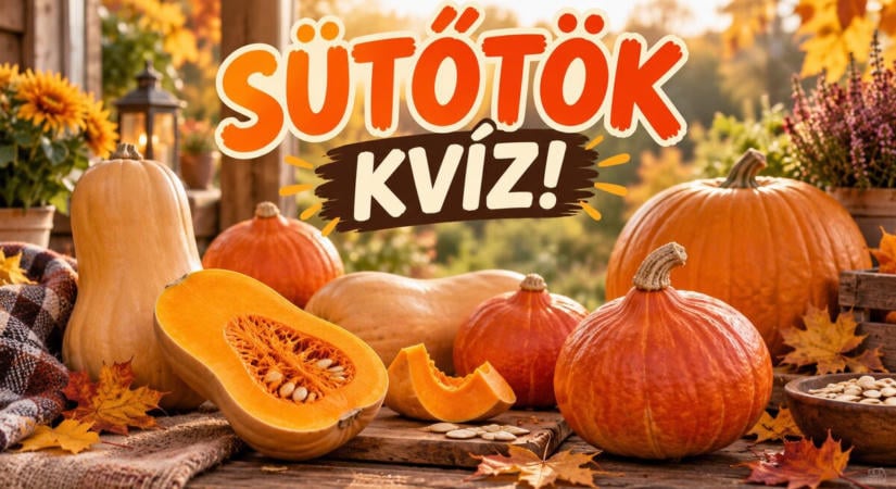 Sütőtök kvíz: 5 kérdés, amin még a rutinos kertészek is elgondolkodnak