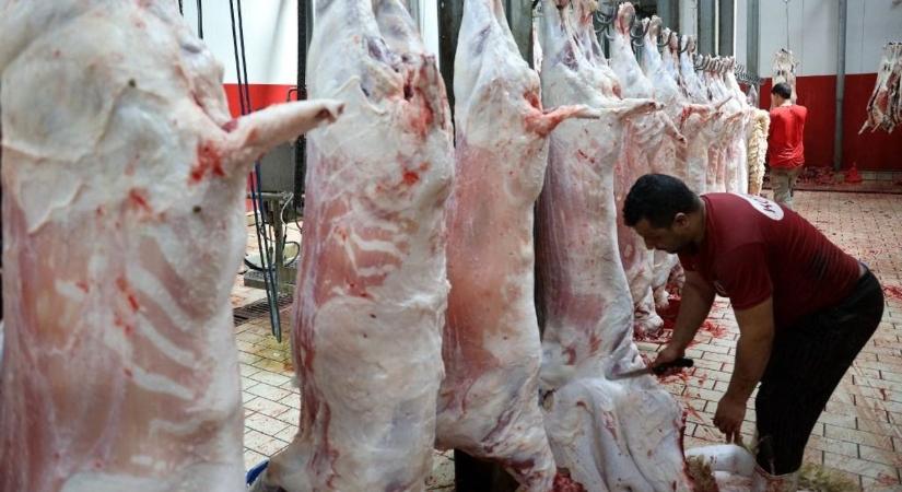 Szörnyű botrány: korrupciós vádak, letartóztatások és pestis – még az ág is húzza a román juhágazatot