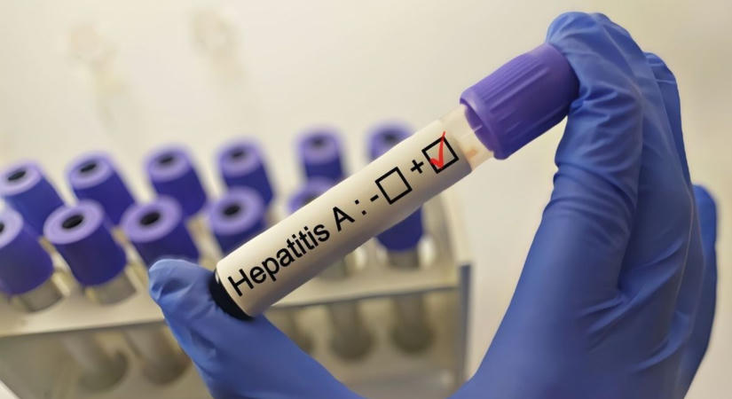 Hepatitis, agyhártya- és agyvelőgyulladás is felbukkant Győr-Moson-Sopronban