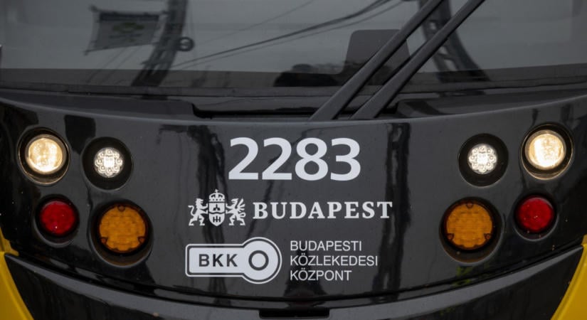 Ingyen éves bérletet jár ezeknek a magyar diákoknak: mutatjuk, mikor és hol kell igényelni