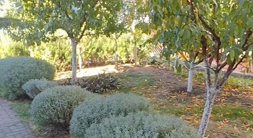 Ősszel sem pihen a kert: ezeket a munkákat érdemes elvégezni októberben (videó)