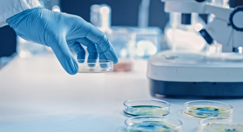 Már nemcsak Indiában és Brazíliában, hanem sajnos Magyarországon is megjelent a Trichophyton indotineae