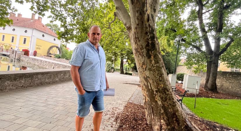 Az aszály nem kíméli a város fáit – Folyamatos pótlásra szorul az állomány