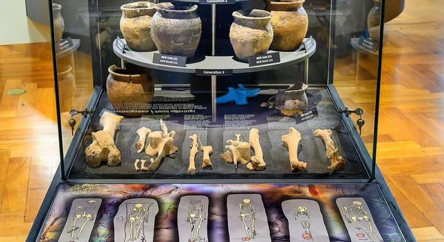Egy óriási kora középkori genetikai kutatás eredményeit mutatják be Bécsben
