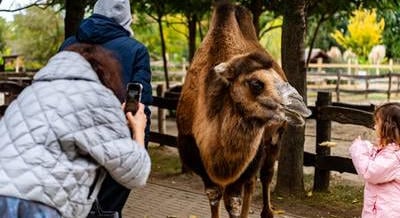 Állatos kalandok, meseösvények és rémtúrák: szuper őszi szüneti programok a Balatonnál