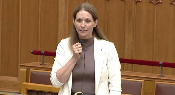 Megszólalt Lezsák Anna, miután a tiszás Kulcsár Krisztián trágár módon beszólt neki a parlamentben