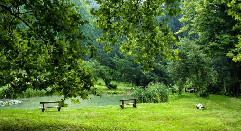 A püspökszentlászlói püspöki kastély és arborétum