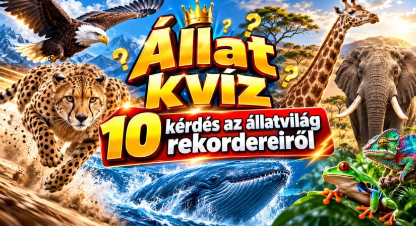 Állat kvíz: 10 kérdés az állatvilág rekordereiről