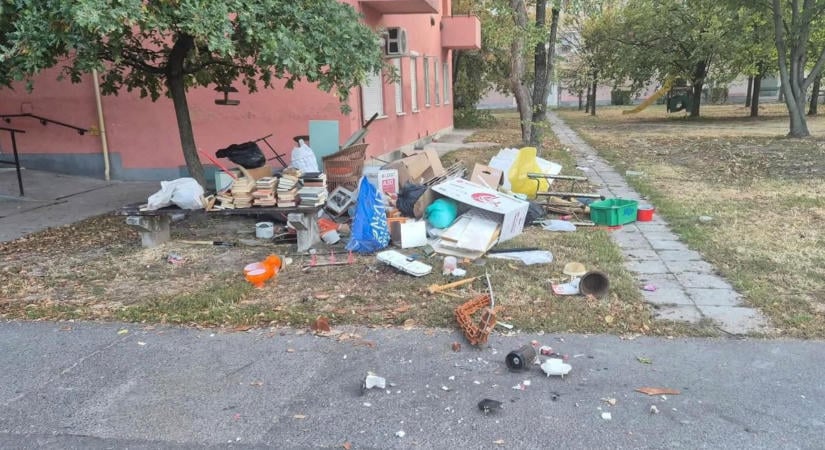 „Ez nem lomtalanítás, ez gyalázat” – megszólalt a polgármester