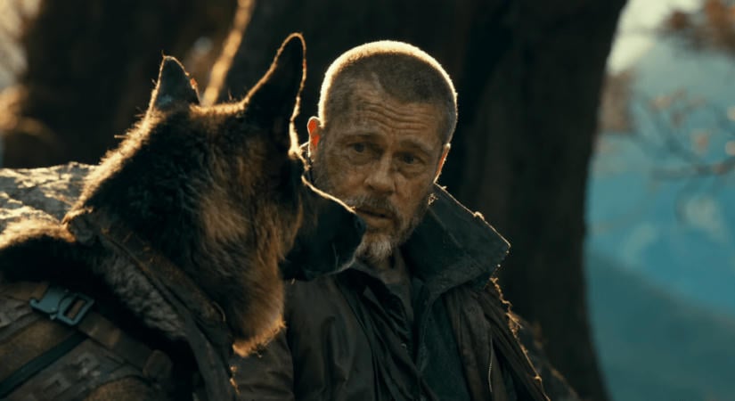 A vadon szíve: Farkasok kontra nyugdíjas kommandós (kritika)