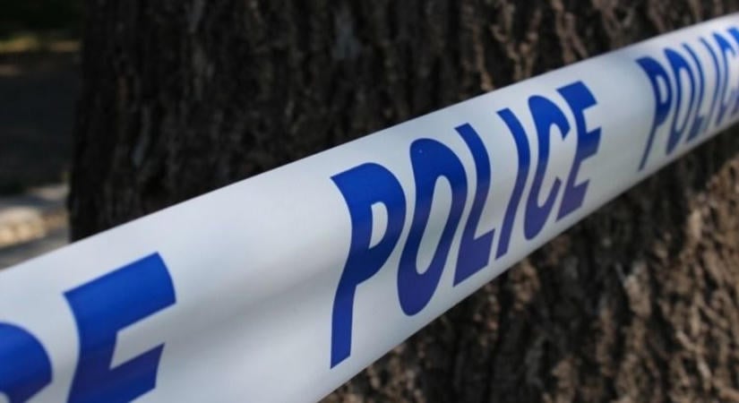 Brutális, mit műveltek Borsodban egy 7 hónapos kutyával – fotóval