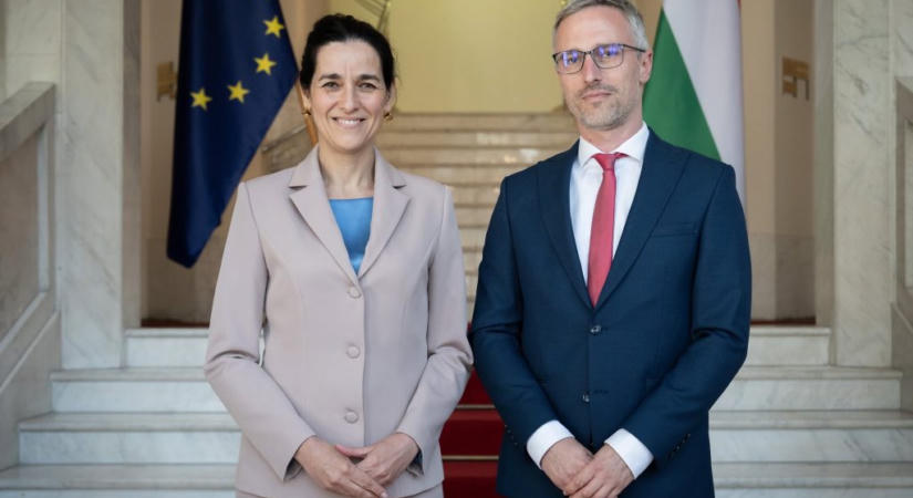 Feledy Botond lett a Külügyi Intézet új vezérigazatója