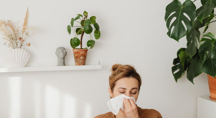 Allergén növények a környezetünkben