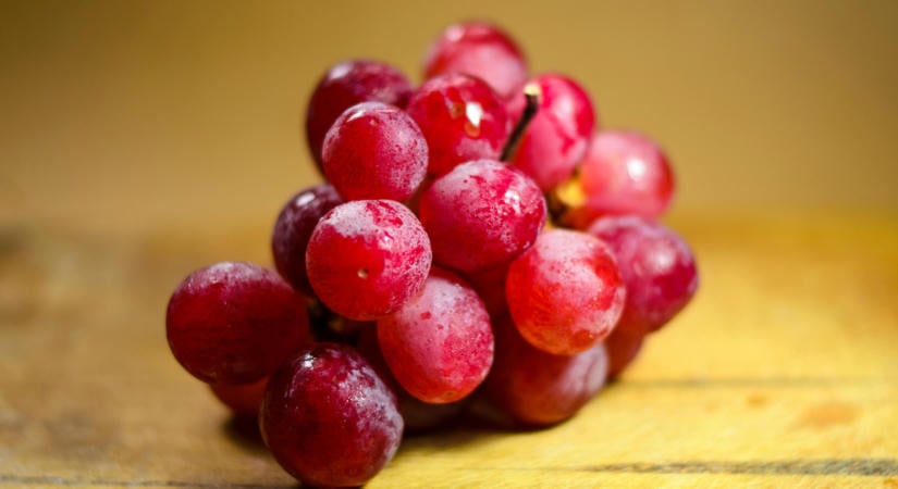 Szőlőmagot minden konyhába!