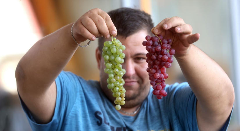 Még mindig tombol a forróság, de már kacsintgat az ősz a kaposvári piacon: a szilva, a szőlő és barack a standok sztárja