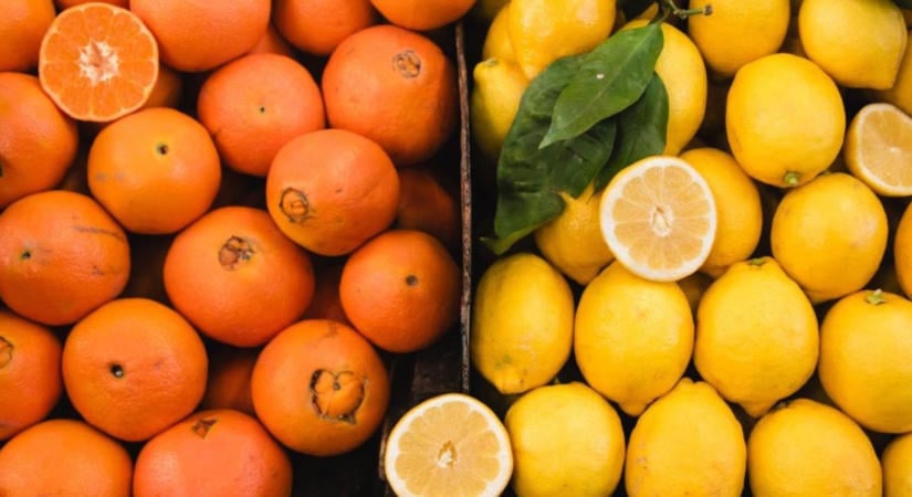Kiderült, mennyi citrus teremhet idén Spanyolországban
