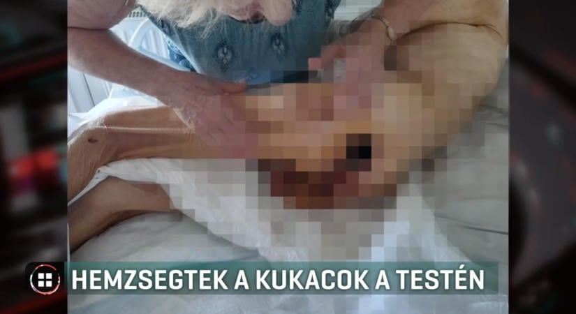 Hemzsegtek a kukacok férje testén a pelenka alatt – az özvegy feljelentette a kórházat