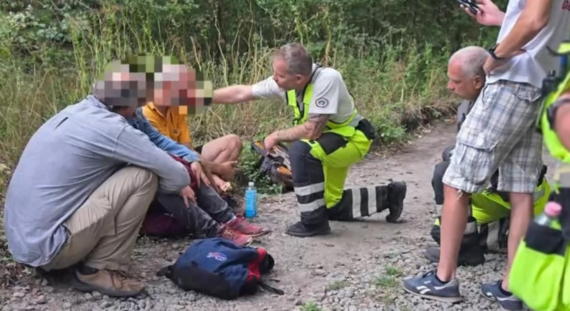 Balesete után 14 órán át bolyongott a szentendrei erdőben egy sérült férfi